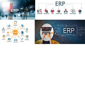 ERP Development and Customization